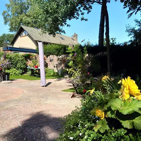 Bed&Breakfast de IJsvogel-3